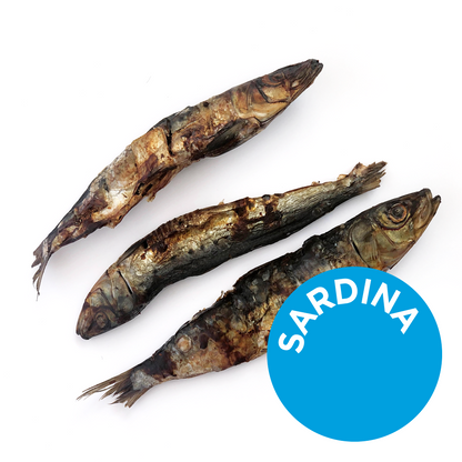 Sardinas